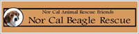 http://www.norcalbeagles.com